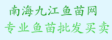 广东鱼苗